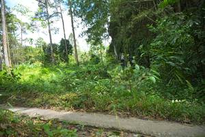 BIB: 
                            <button type="button" onclick="openModal(21744897)" class="btn btn-primary btn-sm float-right btn-popup" data-toggle="modal" data-target=".modal-high-quality">
                        <i class="fas fa-shopping-cart"></i> Add to Cart
                    </button>
                                            <button type="button" onclick="isThisMe(21744897, true)" class="btn btn-success btn-sm float-right btn-popup btn-isme hidden" data-toggle="tooltip" data-placement="bottom" title="นี่คือรูปของคุณใช่ไหม คลิกที่นี่เพื่อเอาเข้าอัลบั้ม">
                        <i class="fas fa-plus"></i> Add to album
                    </button>
                    <button type="button" onclick="isThisMe(21744897, false)" class="btn btn-warning btn-sm float-right btn-popup btn-isnotme hidden">
                        <i class="fas fa-ban"></i> Remove from album
                    </button>